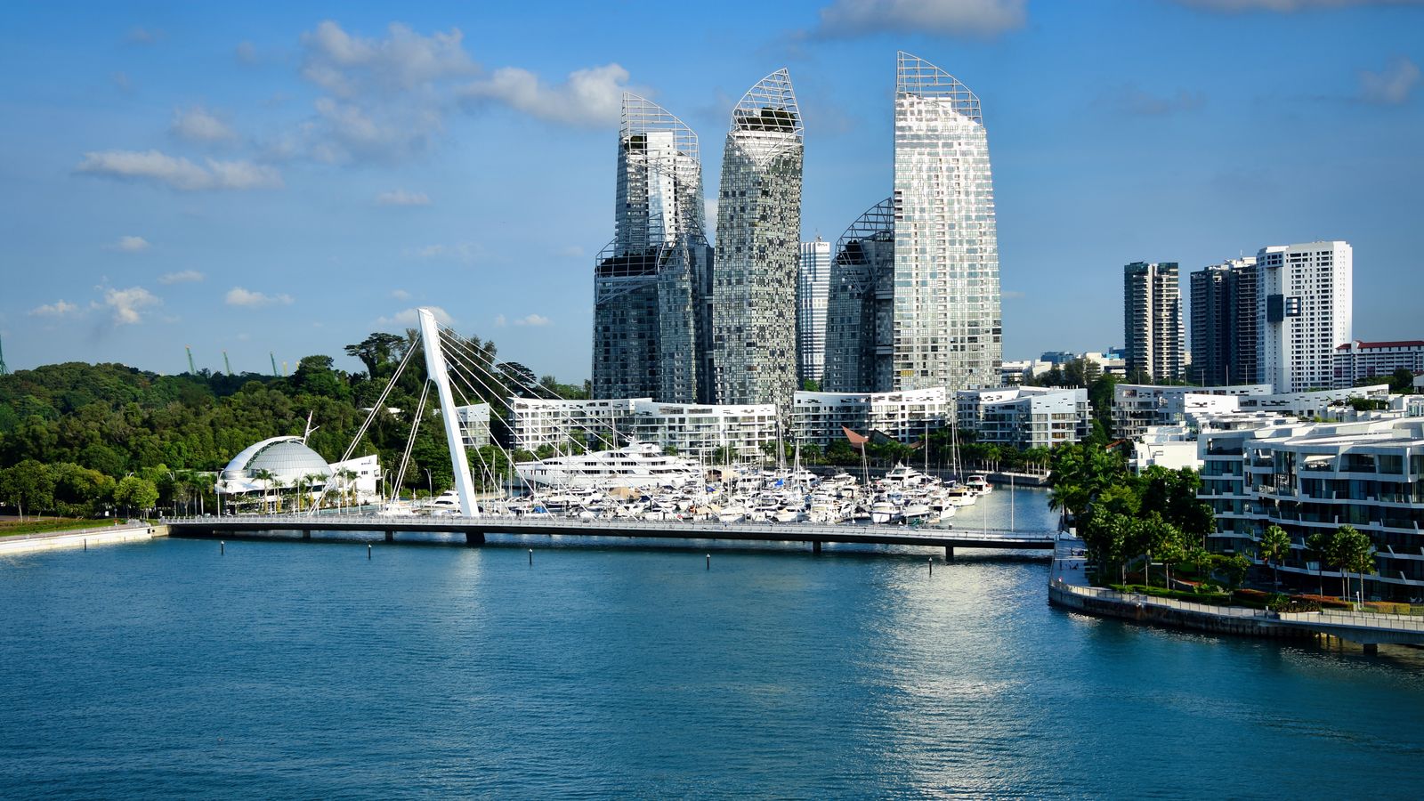 Condovise illustration, strata management and the MCST in Singapore
